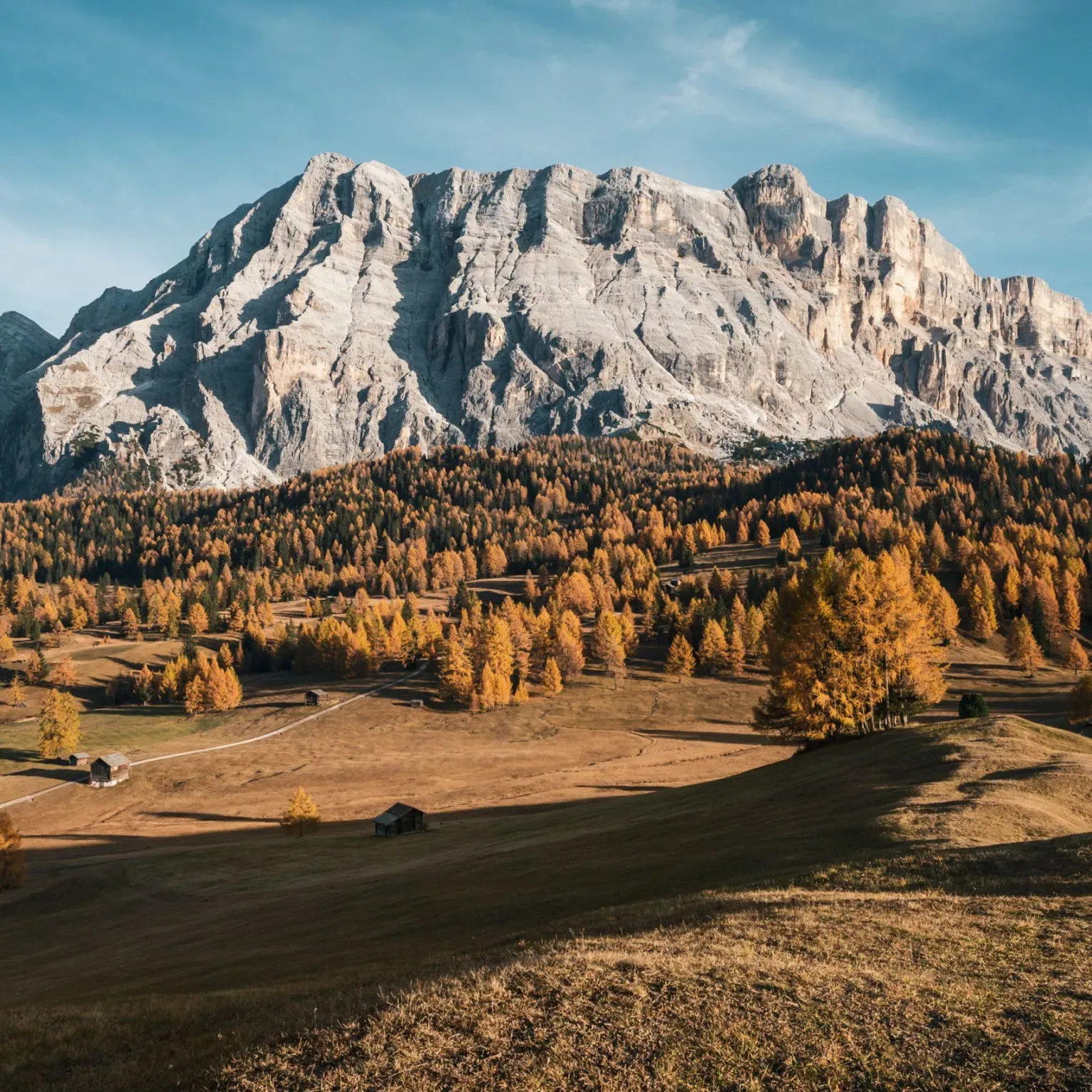 La maestosa catena montuosa del Sas dla Crusc si erge contro un cielo azzurro e limpido, circondata dagli alberi dorati autunnali e dai campi aperti di Armentara.