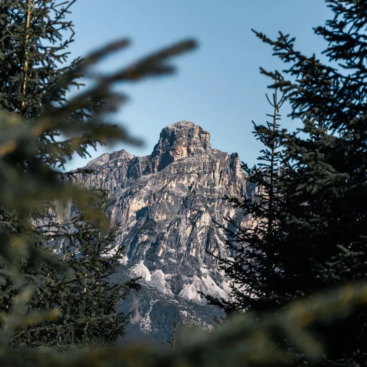La cima del Sassongher si erge sopra un fitto bosco di alberi sempreverdi.