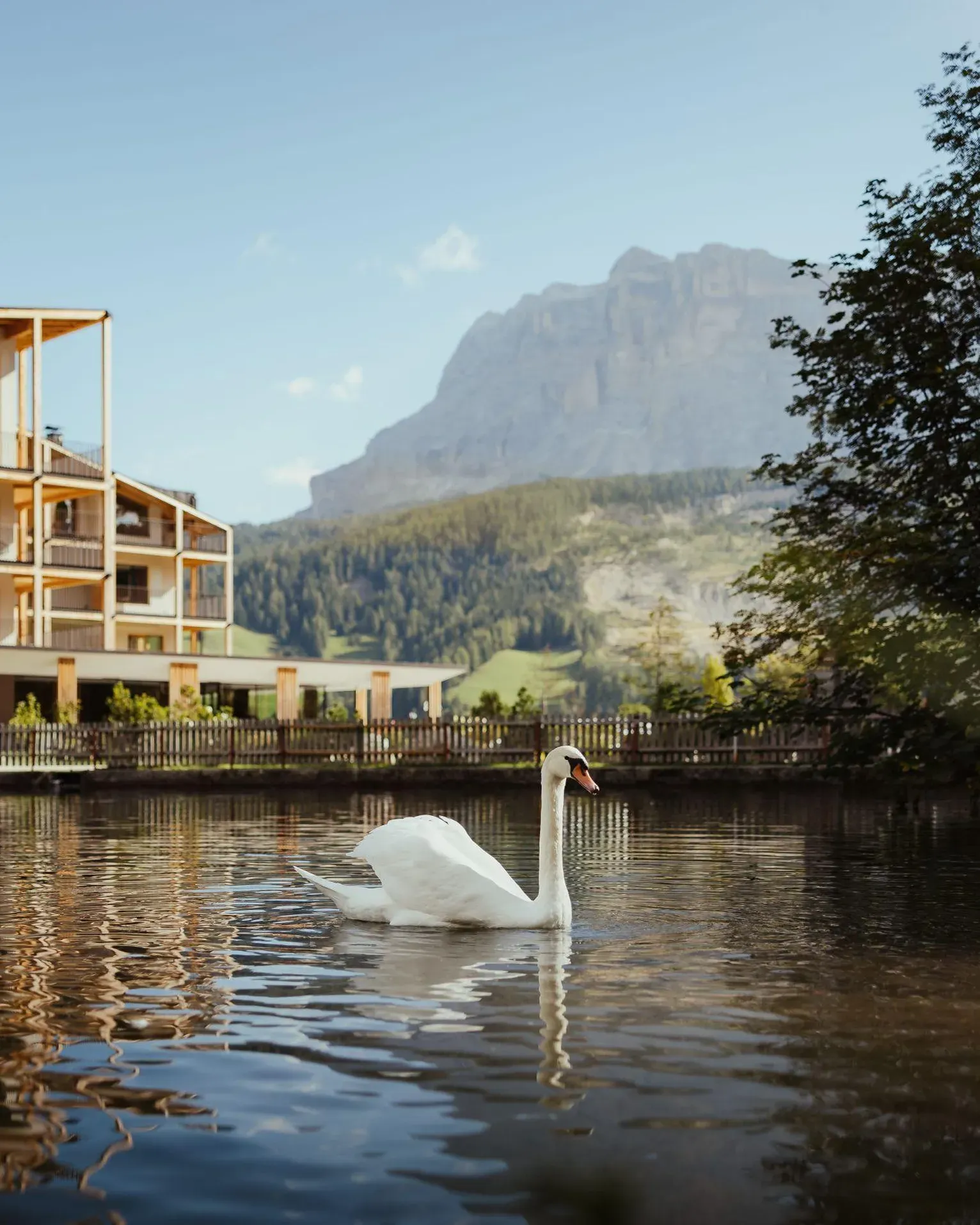 A serene scene at Hotel Lech da Sompunt features a swan gliding on a tranquil lake, with Dolomites in the background.