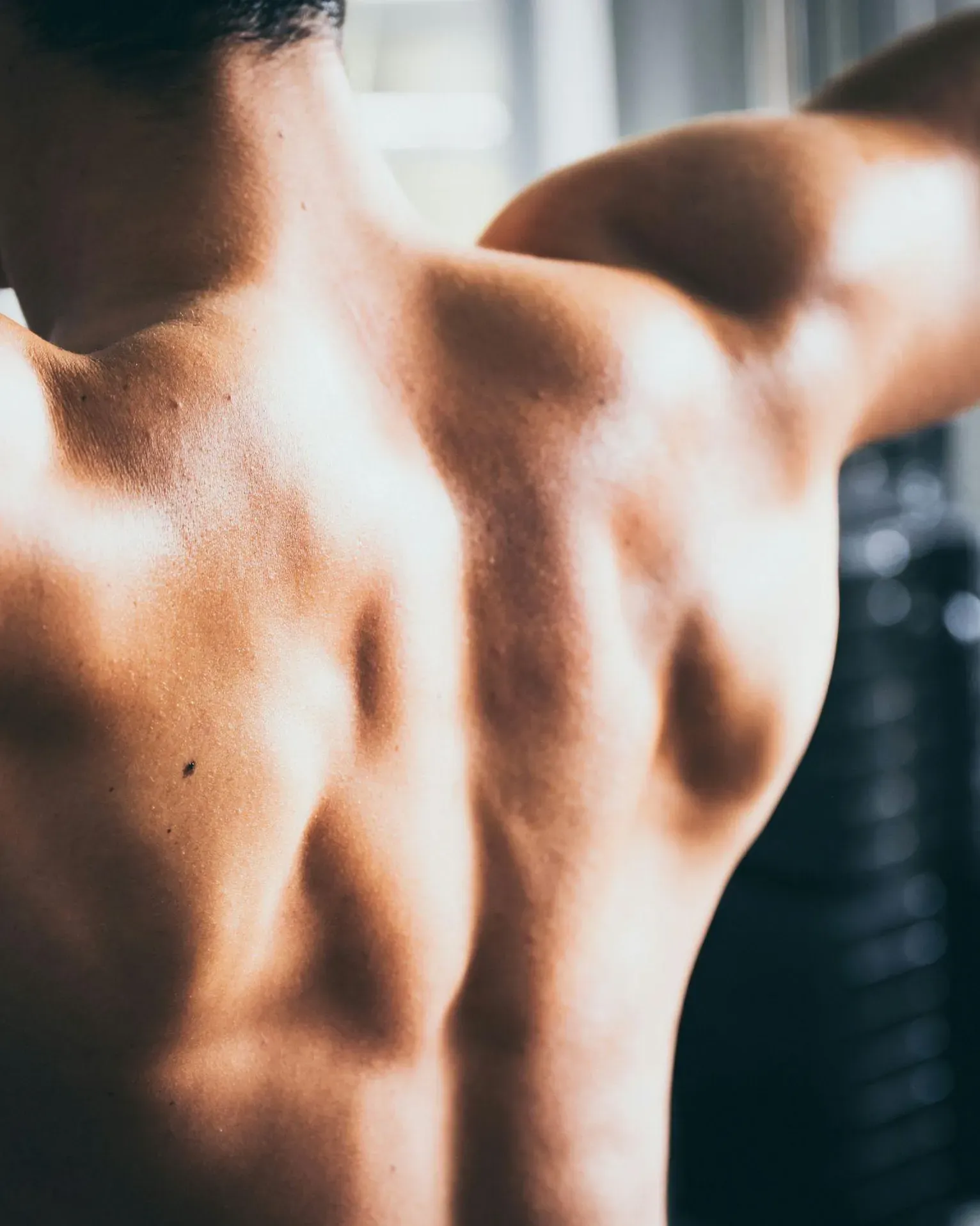 A close-up of a man's back showcasing muscular definition in the fitness gym of Hotel Lech da Sompunt.